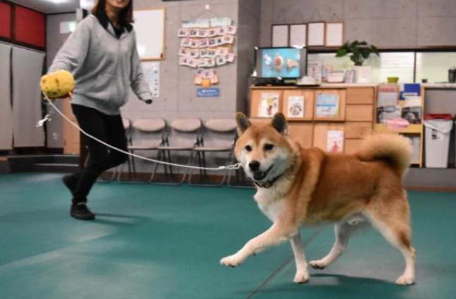 写真：口周辺を触る練習の様子