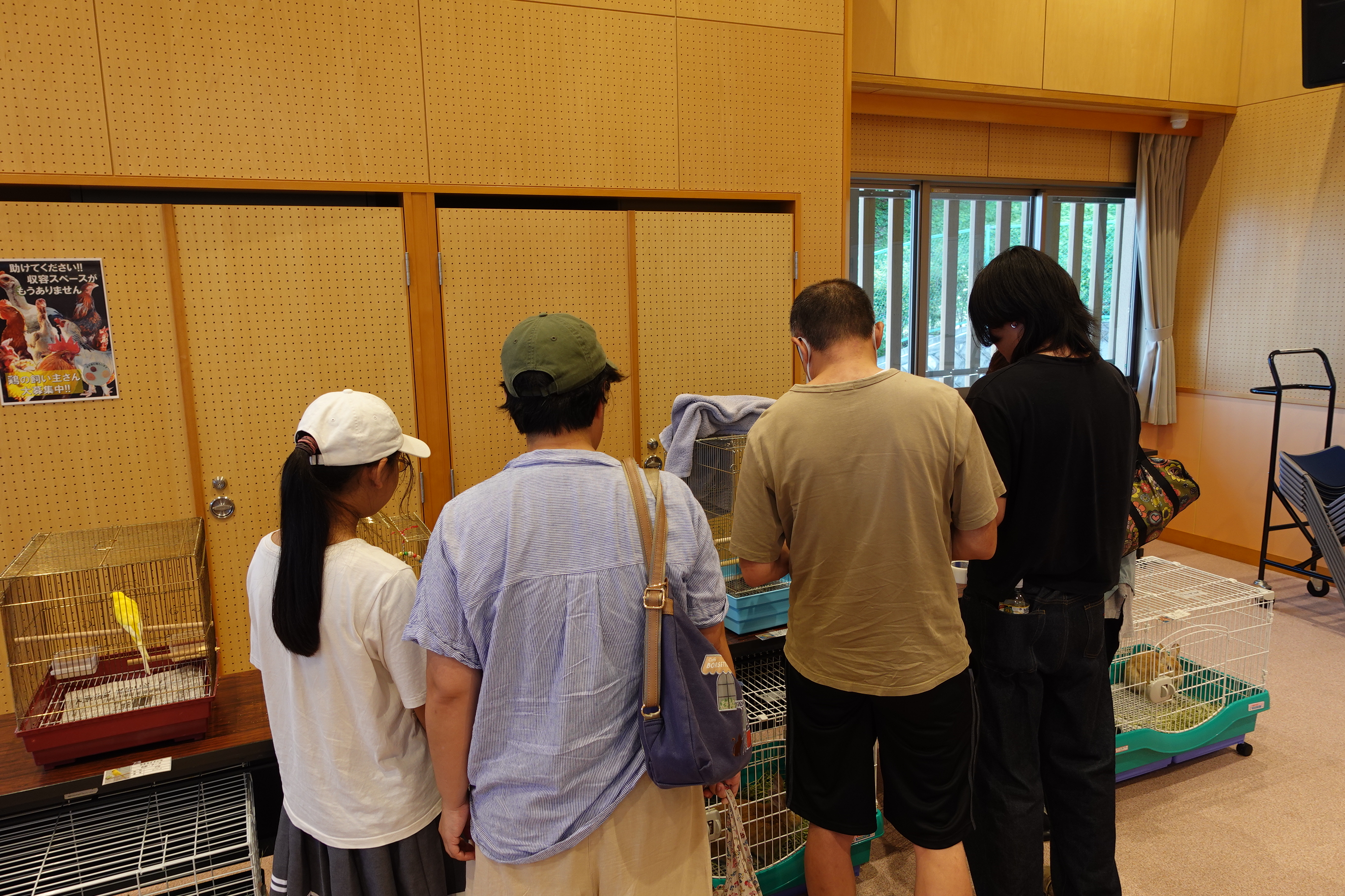 写真：開放デーの様子2
