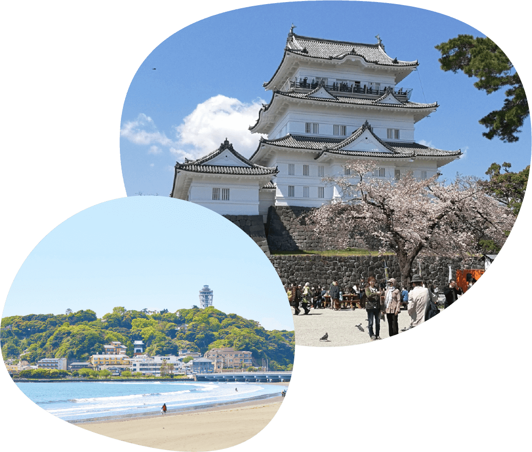 観光地としての神奈川