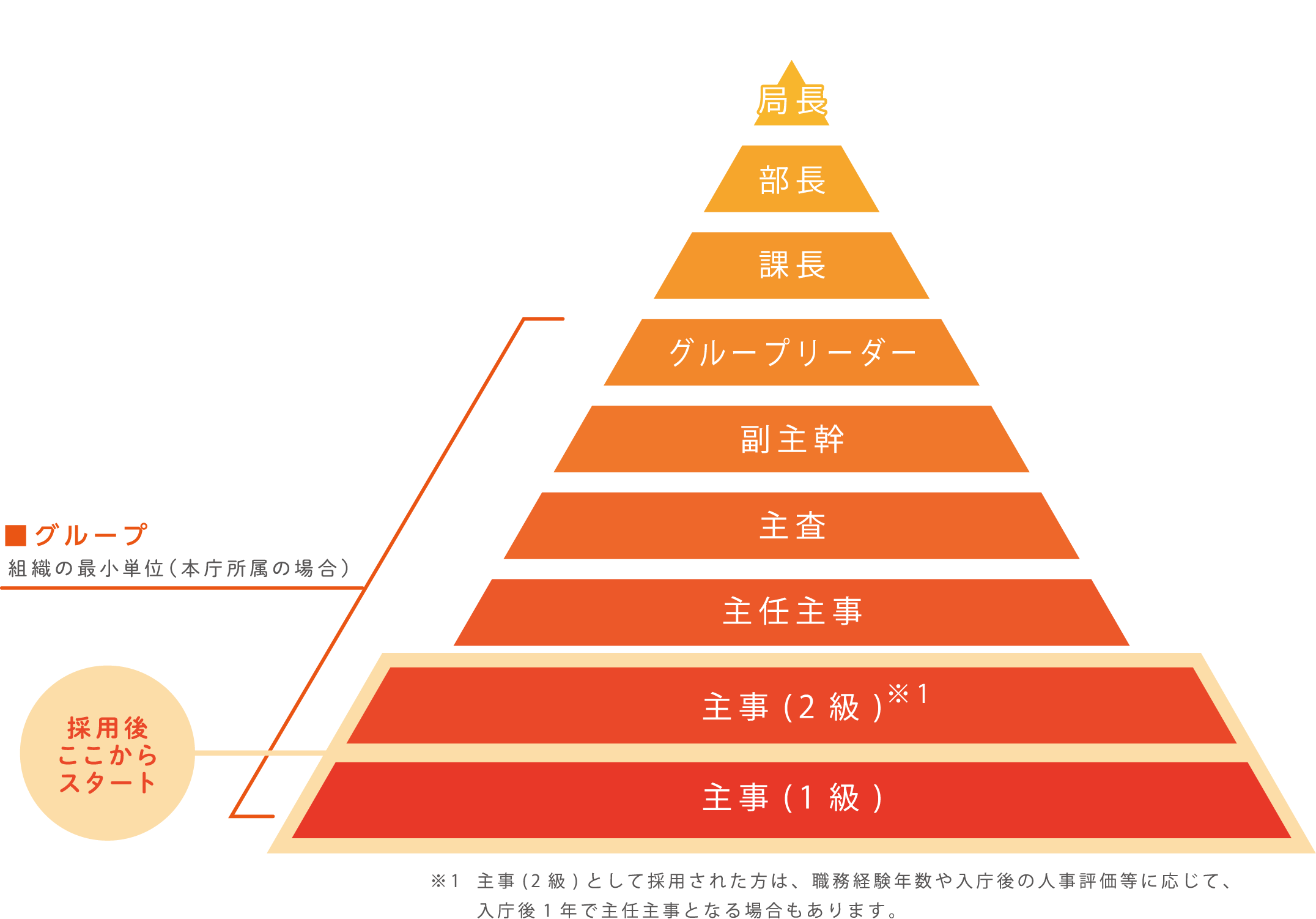 キャリアアップイメージ。詳細は各試験の受験案内テキスト版をご確認ください。