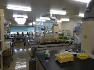 小田原分室内の食品化学検査室及び分析機器室の写真