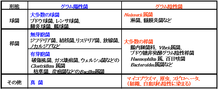 染色法 細菌の検査 各論 神奈川県衛生研究所