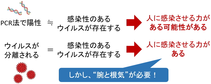 2 ウイルス感染症の診断 ウイルス学エピソード 神奈川県衛生研究所