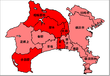 第2週(1/5～1/11）