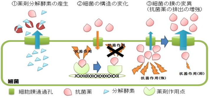 耐性