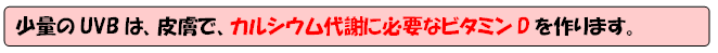 少量のUVBは、皮膚で、カルシウムの代謝に必要なビタミンDを作ります。