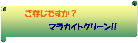 横巻き: ご存じですか？  マラカイトグリーン!!  