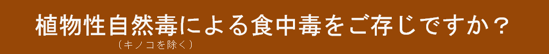 植物性自然毒(キノコを除く)による食中毒をご存じですか？