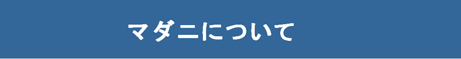 マダニについて