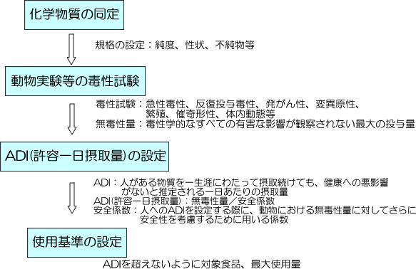 食品添加物の安全性評価と企画基準設定までの流れ