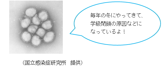 毎年の冬にやってきて、学級閉鎖の原因などになっているよ！