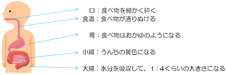 うんちっておもしろい 神奈川県衛生研究所