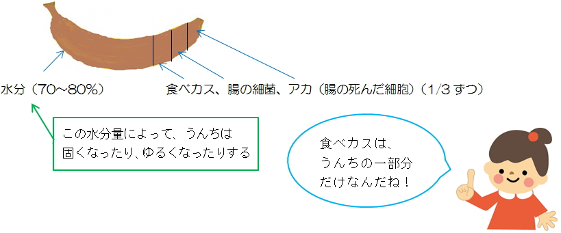 うんちっておもしろい 神奈川県衛生研究所