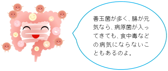 善玉菌が多く、腸が元気なら、病原菌が入ってきても、食中毒などの病気にならないこともあるのよ。