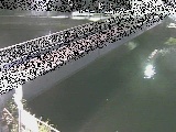鷹取川 鷹取川人道橋付近のカメラ画像