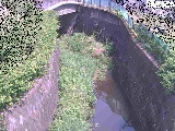 新佐島橋付近のカメラ画像