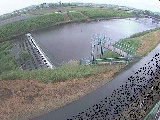 鈴川 舟橋付近のカメラ画像