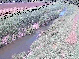 座禅川 土屋窪橋付近のカメラ画像