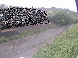 葛葉川 九沢橋付近のカメラ画像