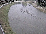 金目川 観音橋付近のカメラ画像
