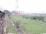 若宮橋付近のカメラ画像