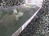 小出川 新鶴嶺橋付近のカメラ画像
