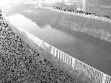 引地川 石川橋付近のカメラ画像