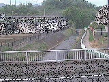 荻野橋付近のカメラ画像