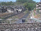 荻野川 荻野橋付近のカメラ画像