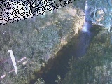 引地川 八幡橋付近のカメラ画像