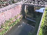 吉野橋付近のカメラ画像