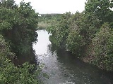 海老名分水路付近のカメラ画像
