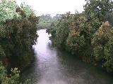 海老名分水路付近のカメラ画像