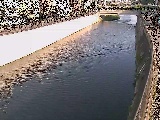 大山橋付近のカメラ画像