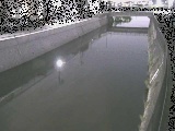 引地川 大山橋付近のカメラ画像