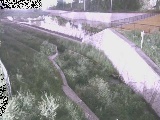 境川 風戸橋付近のカメラ画像