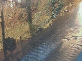 堀割橋付近のカメラ画像
