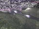 大泉河原橋付近のカメラ画像
