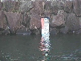 芦ノ湖付近(望遠)のカメラ画像