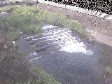 新崎川 新崎橋付近のカメラ画像