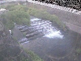 新崎橋付近のカメラ画像