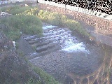 新崎川 新崎橋付近のカメラ画像
