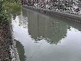 新田間川 新田間橋付近のカメラ画像