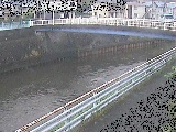 柏尾川 鷹匠橋付近のカメラ画像
