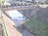 早淵川 鍛冶橋付近のカメラ画像