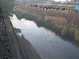 浅山橋（国）付近のカメラ画像
