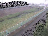 早淵川 高田橋付近のカメラ画像