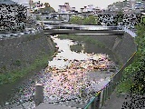 鶴見川 岡上橋付近のカメラ画像