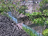 嶋田人道橋付近のカメラ画像