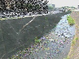 麻生川 新三輪橋付近のカメラ画像